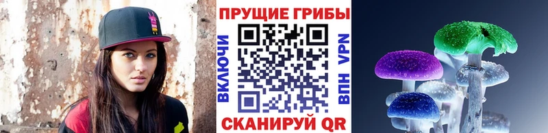 купить  сайты  Дорогобуж  Галлюциногенные грибы Cubensis 