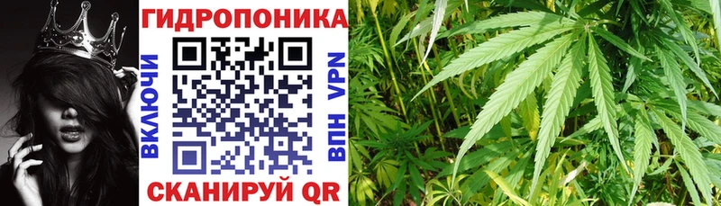 закладка Дорогобуж Канабис Ganja